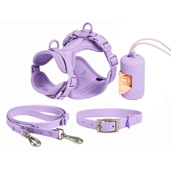 Candy Color Soft PVC Pet Collar Leash Pet Lead Product Set