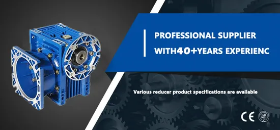 Aokman Drive RV Worm Gear Reducer Worm Gearbox